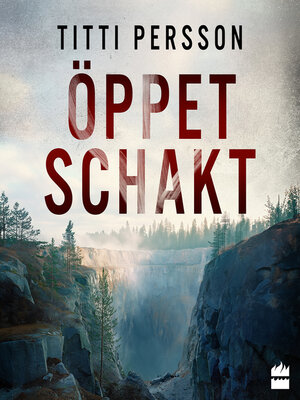 cover image of Öppet schakt